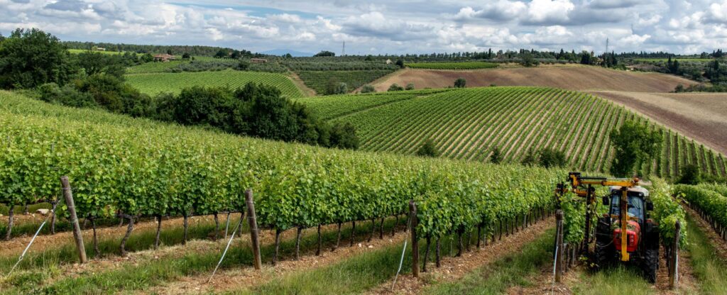 Maya-Huby-Vineyard-Wine-English-Britist